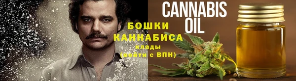 молекула духа Богданович