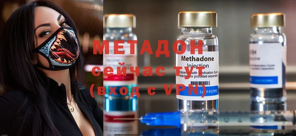молекула духа Богданович
