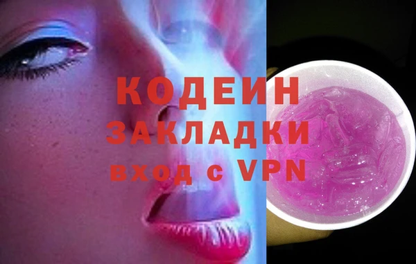 молекула духа Богданович