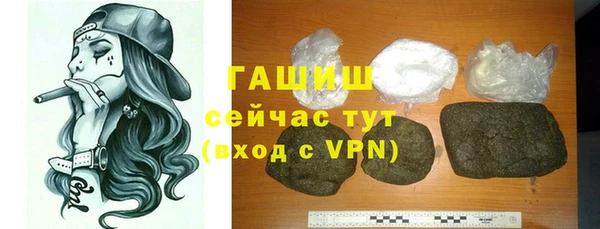 молекула духа Богданович