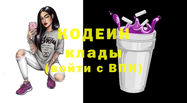 молекула духа Богданович
