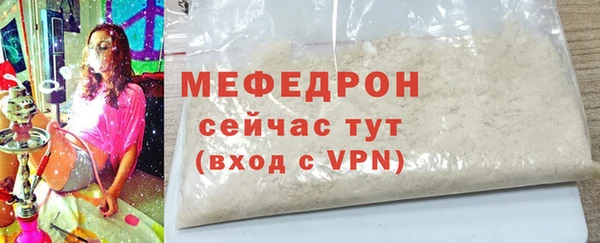молекула духа Богданович