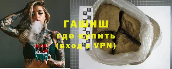 молекула духа Богданович
